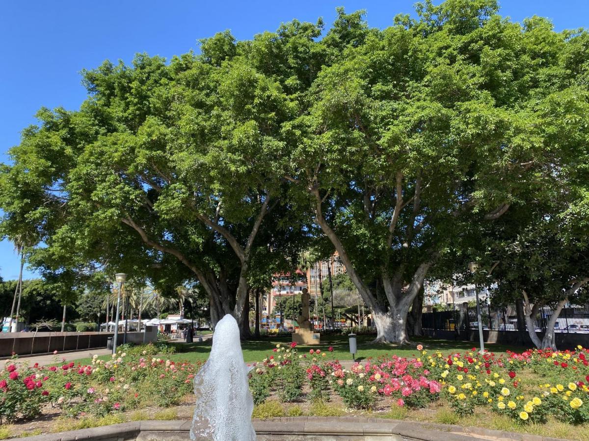 Benecharo By Canariasgetaway Las Palmas de Gran Canaria Ngoại thất bức ảnh